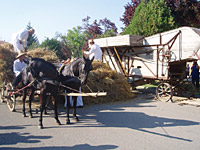 Festival Kucurska zetva