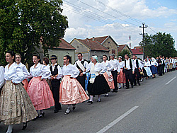 Kucurska zetva 2011